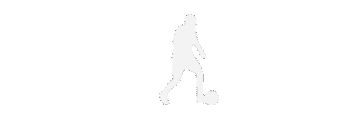 LIVEBAHIS logosu